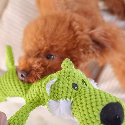 Jouets mignons pour les mâcheurs d'animaux de compagnie