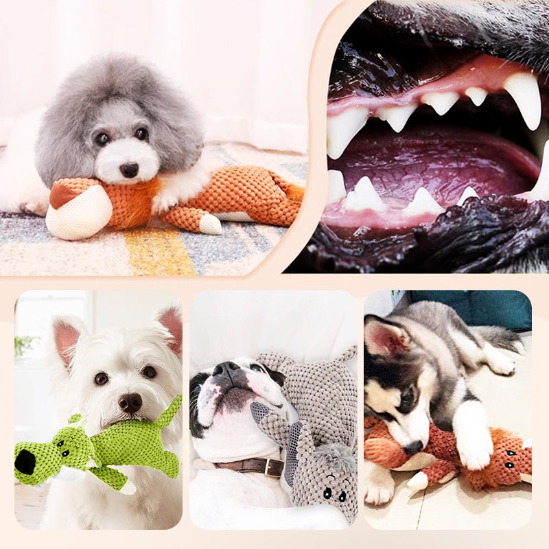 Jouets mignons pour les mâcheurs d'animaux de compagnie